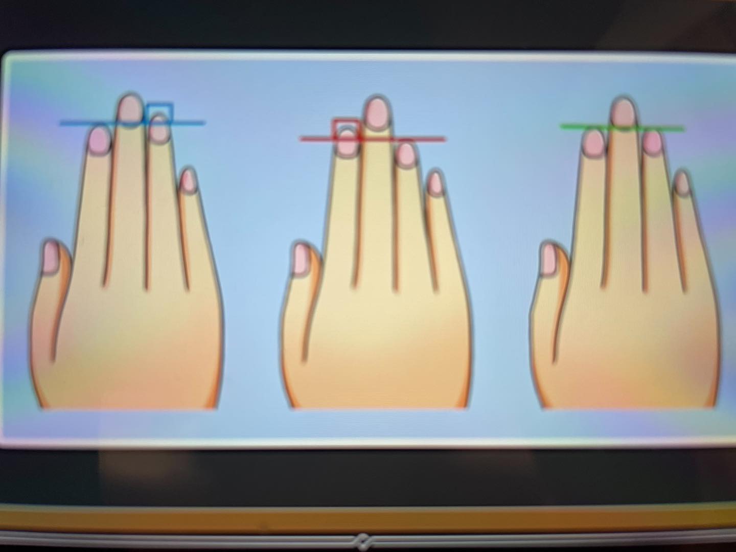 指の長さ＝性格薬指が長い人は男性的性格、人差し指が長い人は女性的性格、同じくらいの長さの人は平和主義者らしいです！