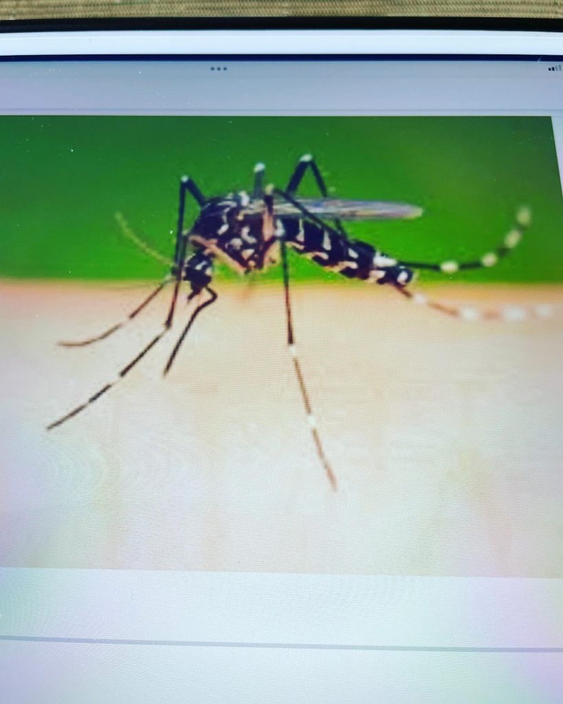 蚊の特徴！蚊が好む人間の部位は順に足、手、顔。