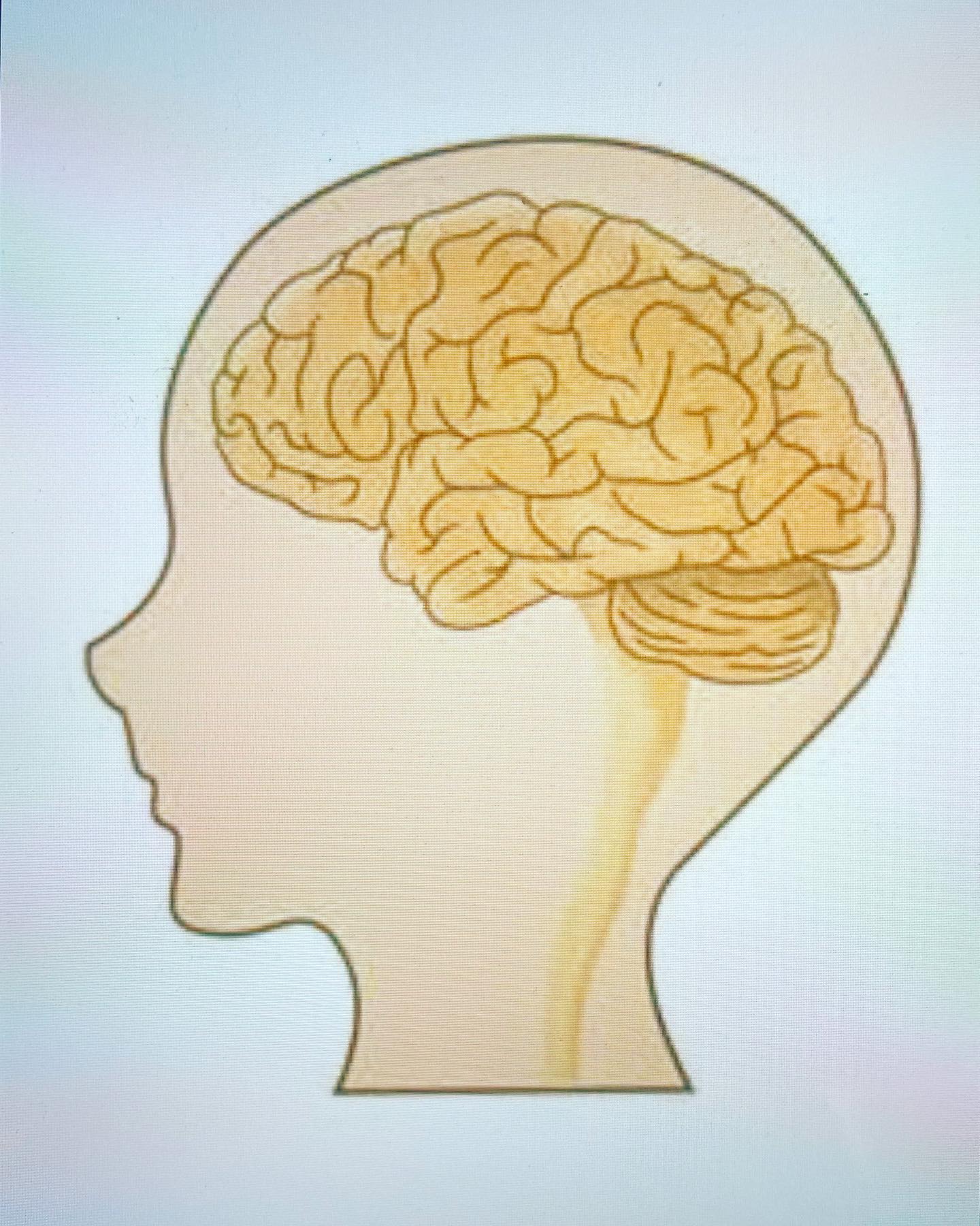 #脳脊髄液脳室でつくられ、何らかの理由で循環が悪くなると頭痛、嘔吐、けいれん、精神症状など様々な症状が引き起こされる。