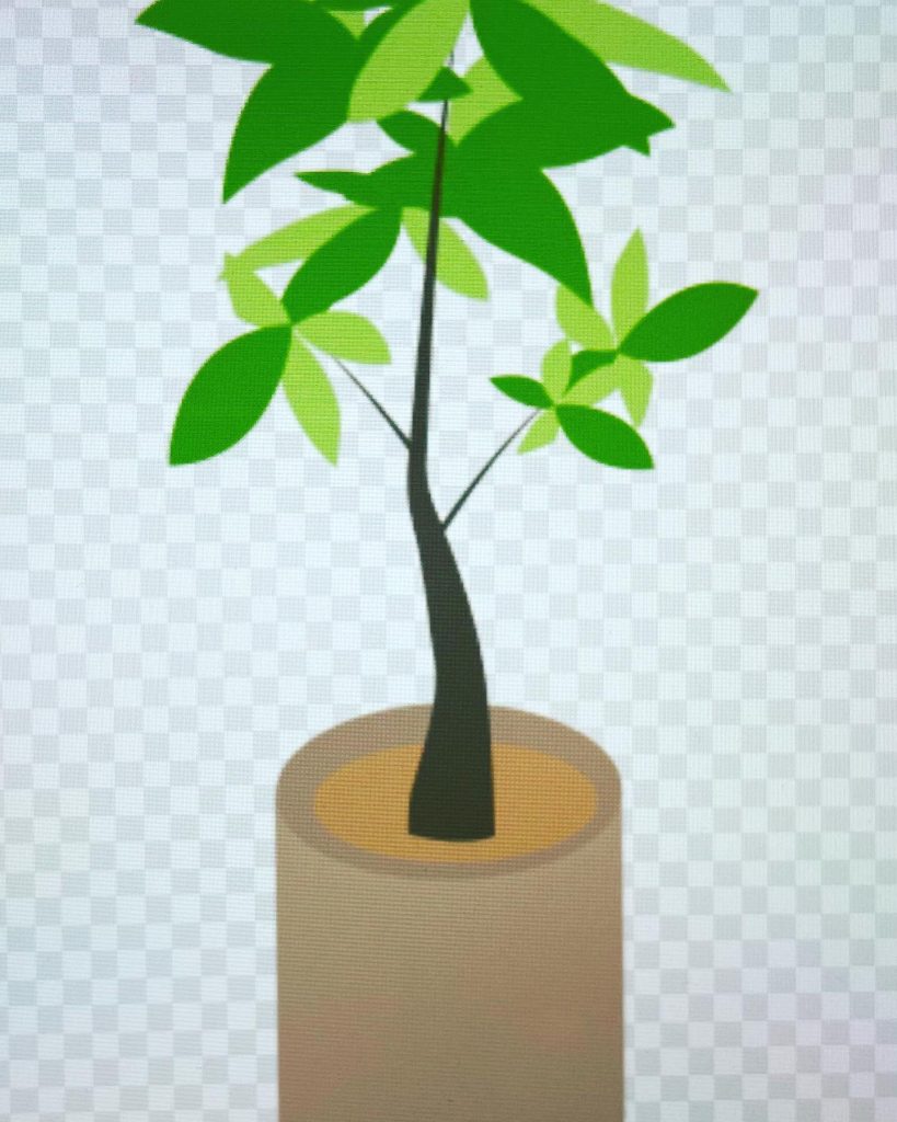 #観葉植物を冬越しさせるコツ！冬は休眠期肥料は春から秋に水やりは控えめに葉に霧吹きで水をかける室内は10度以下にはしない。