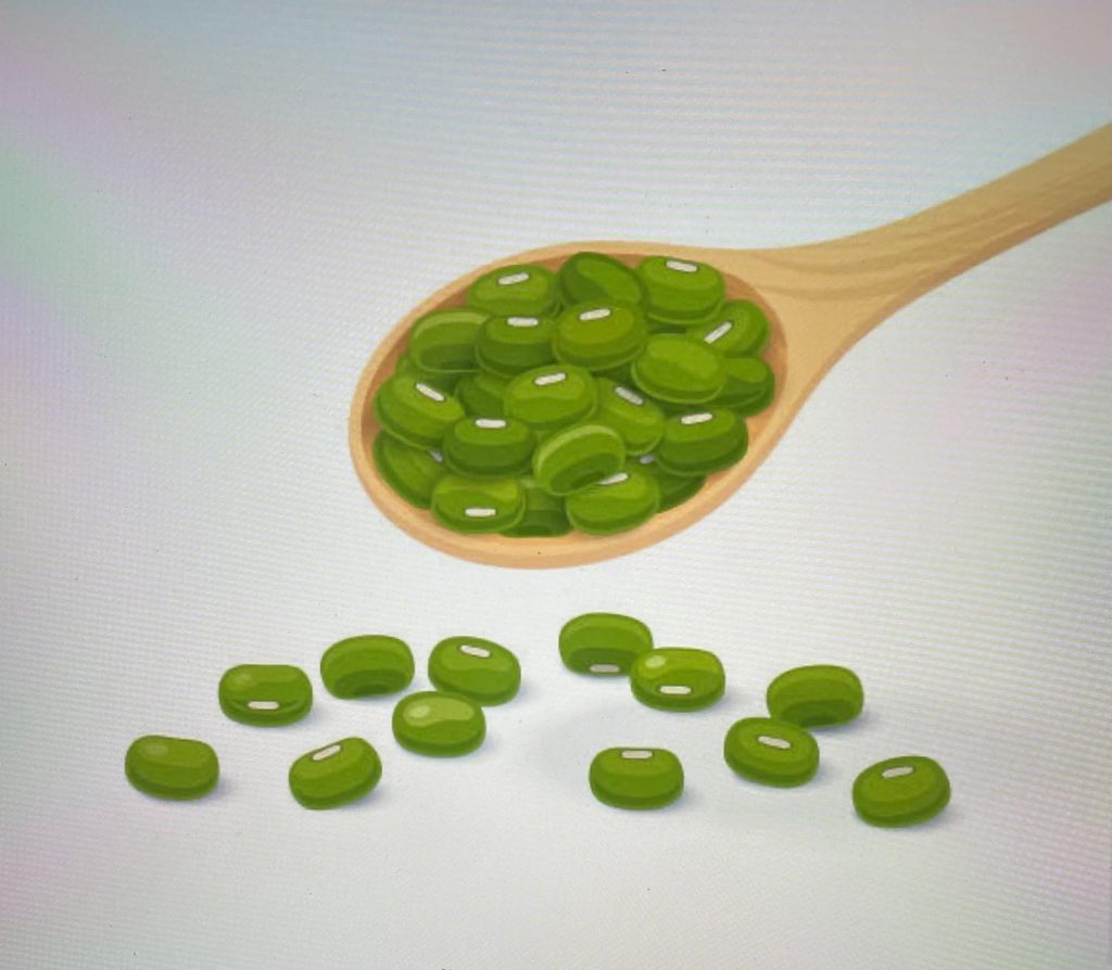 #豆の意外な効果、効能！緑豆（もやしの元）解毒作用、抗酸化作用、心臓病、ガン予防など。