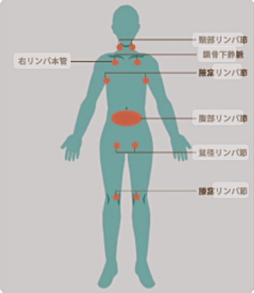 #リンパの流れ！リンパの流れていない人の特徴は目が澄んでいない、肌がくすんでいる、肩こり、毛細リンパ管を開く事が大切！リンパは軽く体を撫でることで流れる！