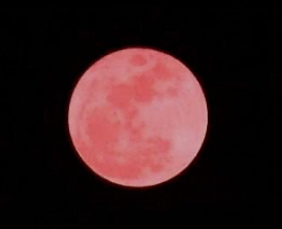 #４月の満月！2024年４月24日（水）の満月は、ピンクムーンです。