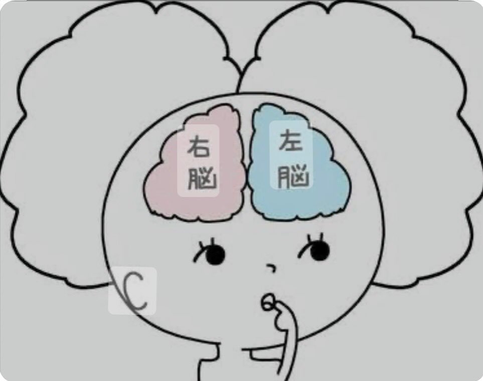 #右脳モード！右脳モードは、主に非言語的な活動を中心とする態勢。