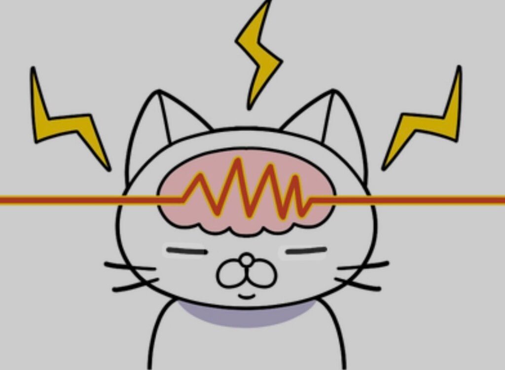 #猫の脳！猫の脳の記憶力は意外と長持ち。
